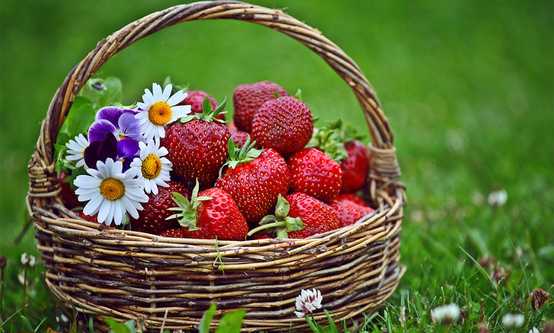 中山点呀点水果电商APP开发案例